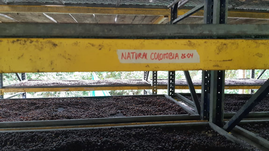 How We Source Our Coffee: Transparency in The Supply Chain